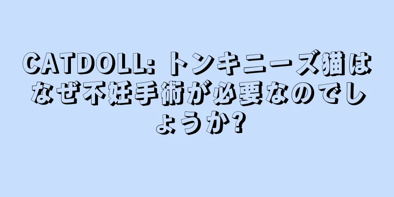 CATDOLL: トンキニーズ猫はなぜ不妊手術が必要なのでしょうか?