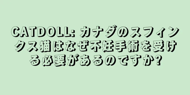 CATDOLL: カナダのスフィンクス猫はなぜ不妊手術を受ける必要があるのですか?