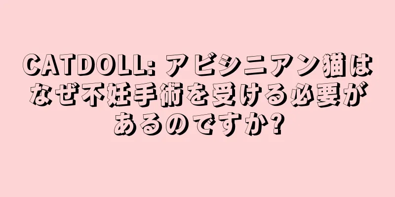 CATDOLL: アビシニアン猫はなぜ不妊手術を受ける必要があるのですか?