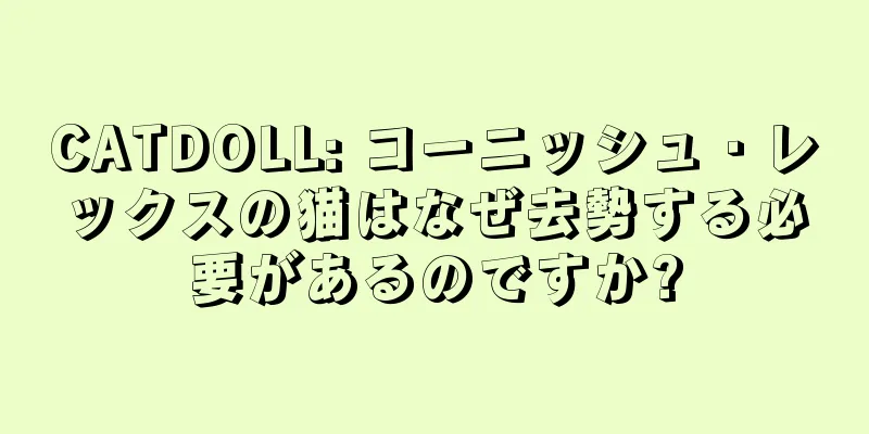 CATDOLL: コーニッシュ・レックスの猫はなぜ去勢する必要があるのですか?