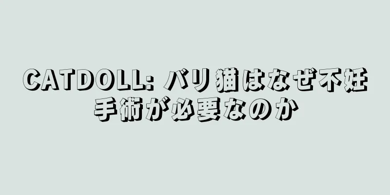 CATDOLL: バリ猫はなぜ不妊手術が必要なのか