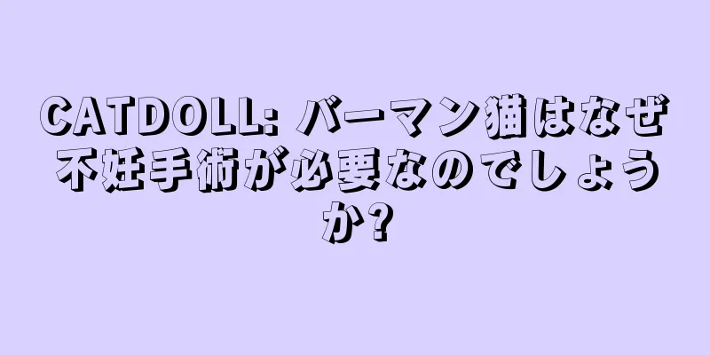 CATDOLL: バーマン猫はなぜ不妊手術が必要なのでしょうか?