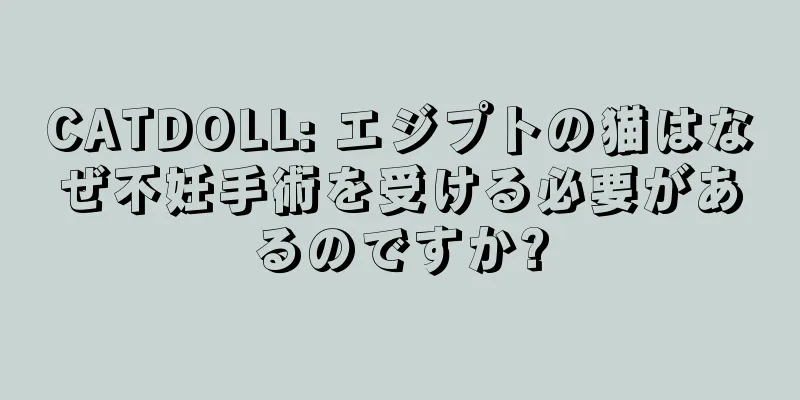 CATDOLL: エジプトの猫はなぜ不妊手術を受ける必要があるのですか?