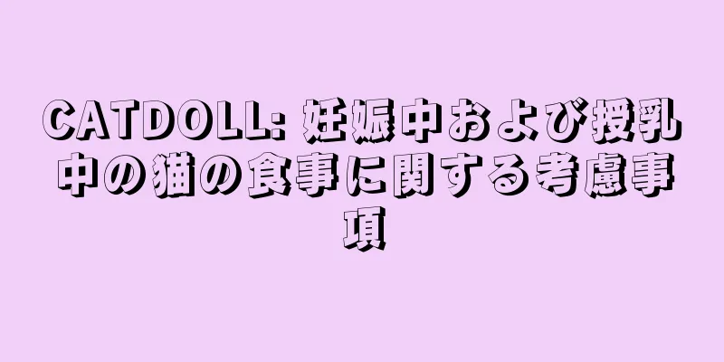 CATDOLL: 妊娠中および授乳中の猫の食事に関する考慮事項
