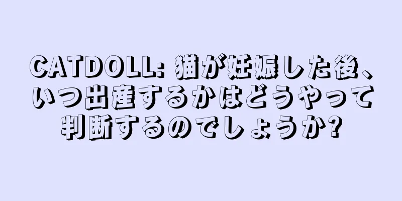 CATDOLL: 猫が妊娠した後、いつ出産するかはどうやって判断するのでしょうか?