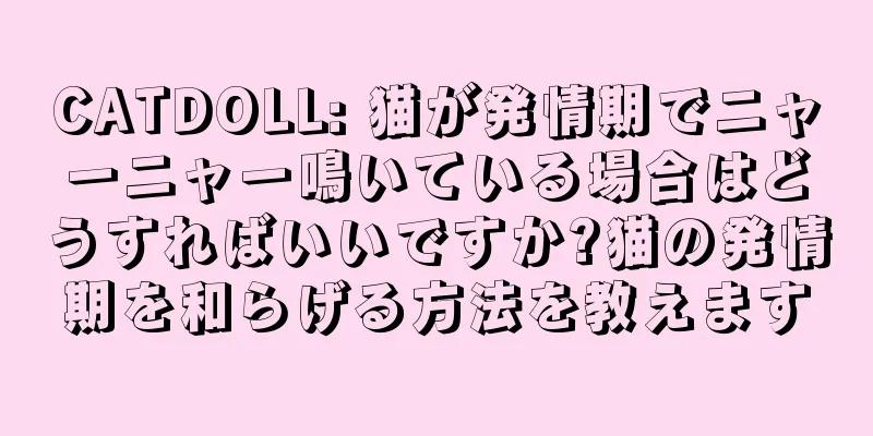 CATDOLL: 猫が発情期でニャーニャー鳴いている場合はどうすればいいですか?猫の発情期を和らげる方法を教えます