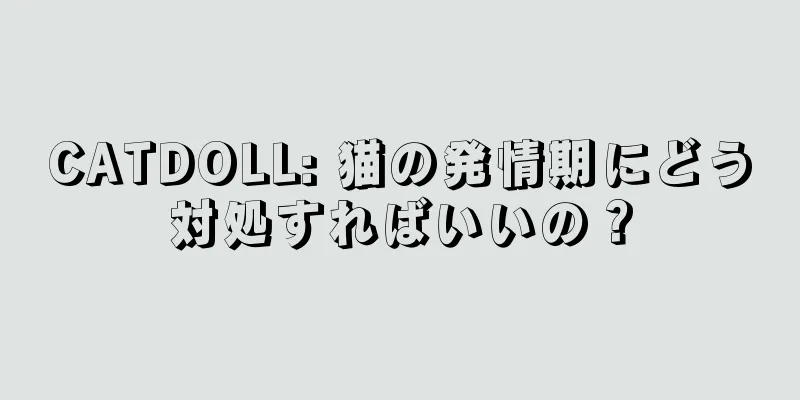 CATDOLL: 猫の発情期にどう対処すればいいの？