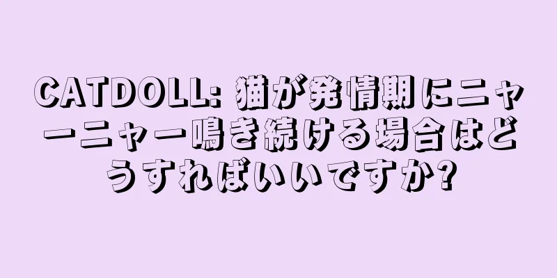 CATDOLL: 猫が発情期にニャーニャー鳴き続ける場合はどうすればいいですか?
