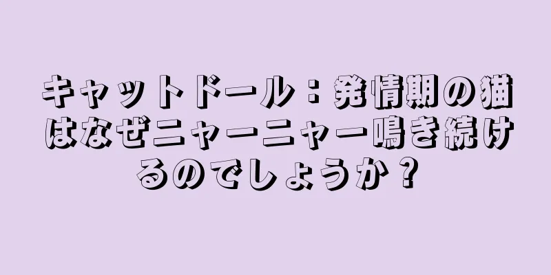 キャットドール：発情期の猫はなぜニャーニャー鳴き続けるのでしょうか？