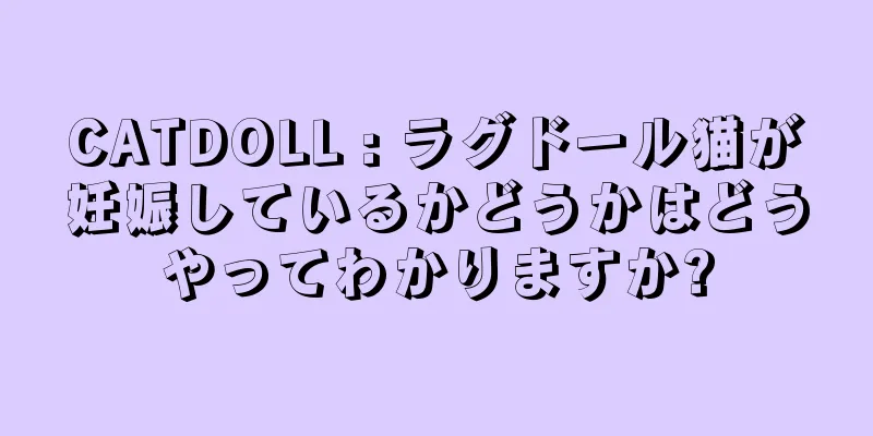 CATDOLL : ラグドール猫が妊娠しているかどうかはどうやってわかりますか?
