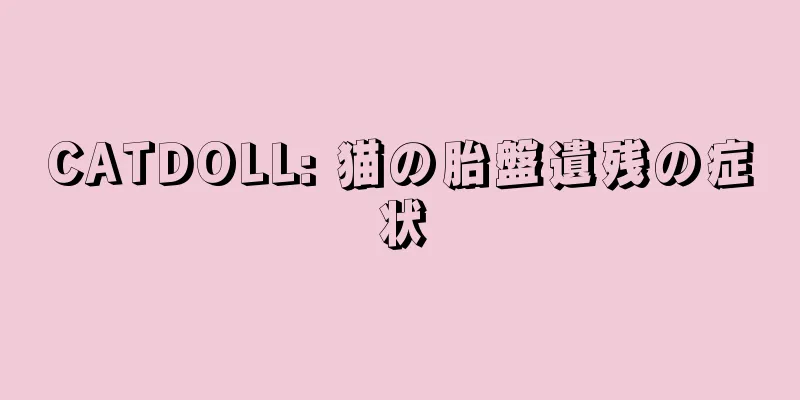 CATDOLL: 猫の胎盤遺残の症状