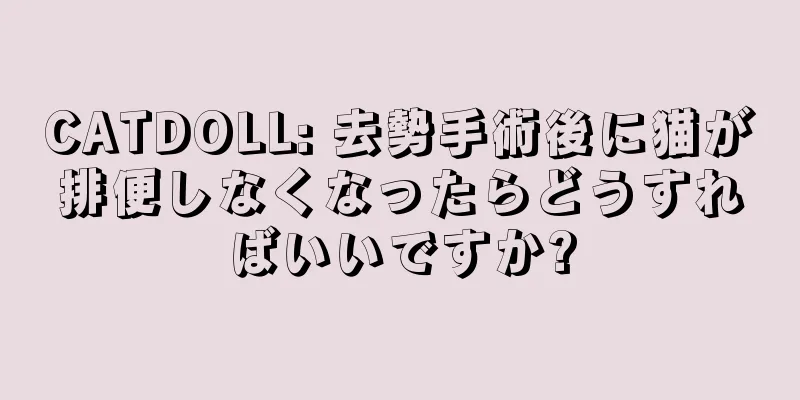 CATDOLL: 去勢手術後に猫が排便しなくなったらどうすればいいですか?
