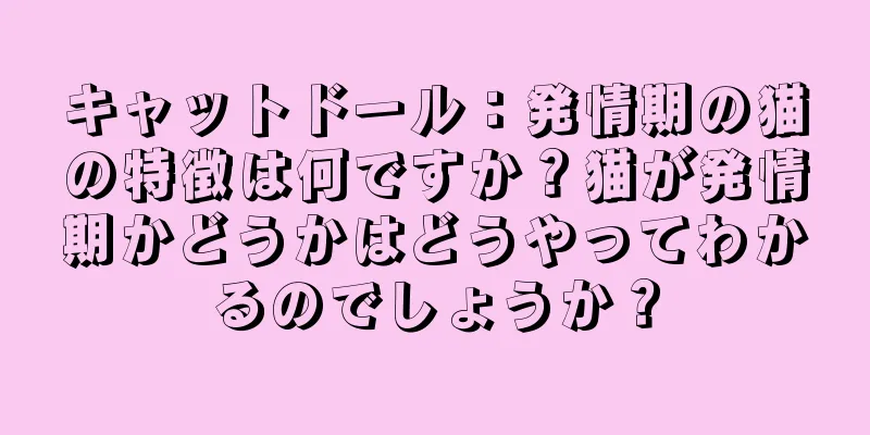 キャットドール：発情期の猫の特徴は何ですか？猫が発情期かどうかはどうやってわかるのでしょうか？