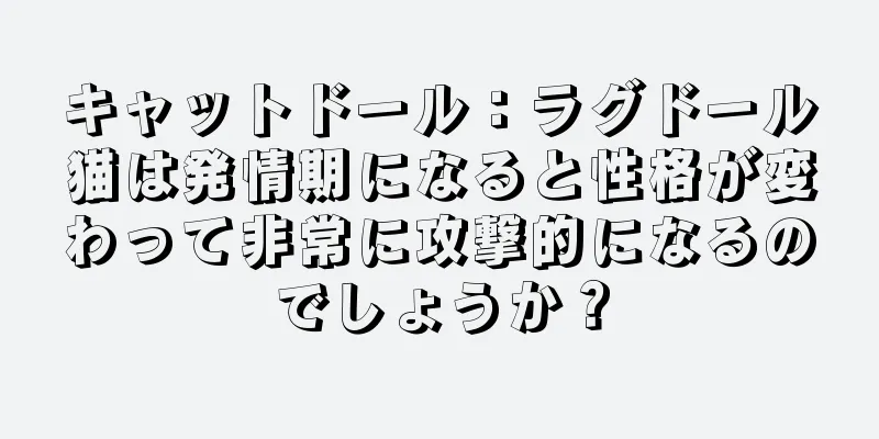 キャットドール：ラグドール猫は発情期になると性格が変わって非常に攻撃的になるのでしょうか？