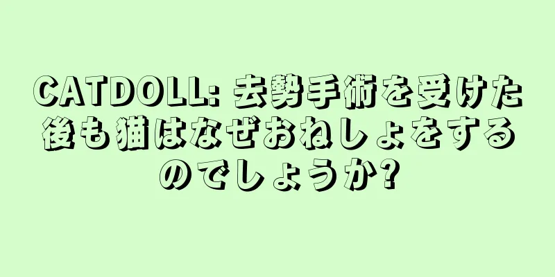 CATDOLL: 去勢手術を受けた後も猫はなぜおねしょをするのでしょうか?