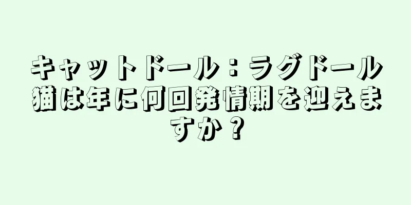 キャットドール：ラグドール猫は年に何回発情期を迎えますか？