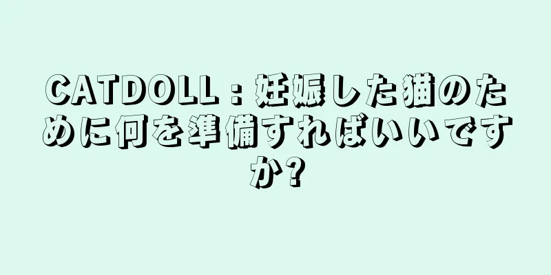 CATDOLL : 妊娠した猫のために何を準備すればいいですか?