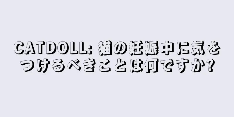 CATDOLL: 猫の妊娠中に気をつけるべきことは何ですか?