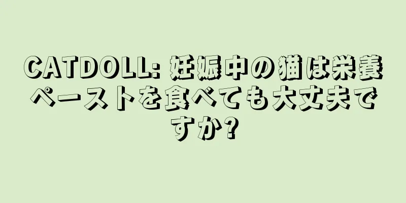 CATDOLL: 妊娠中の猫は栄養ペーストを食べても大丈夫ですか?