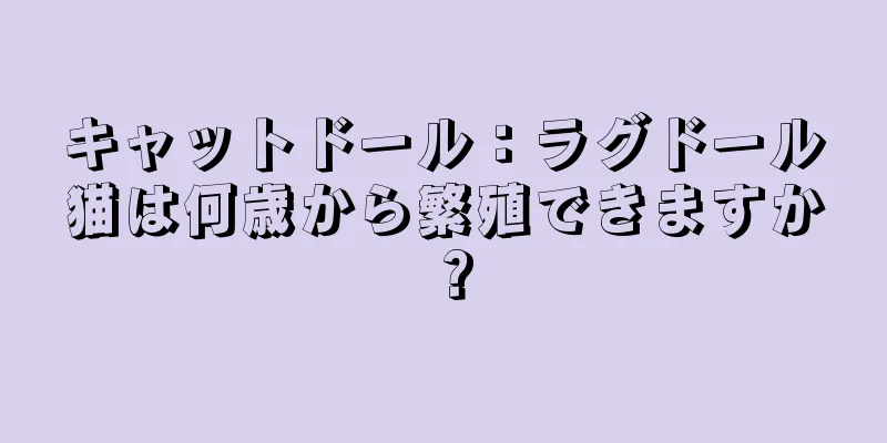 キャットドール：ラグドール猫は何歳から繁殖できますか？