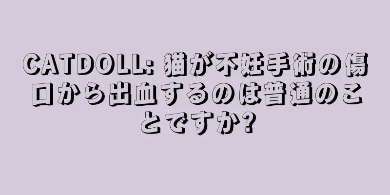 CATDOLL: 猫が不妊手術の傷口から出血するのは普通のことですか?