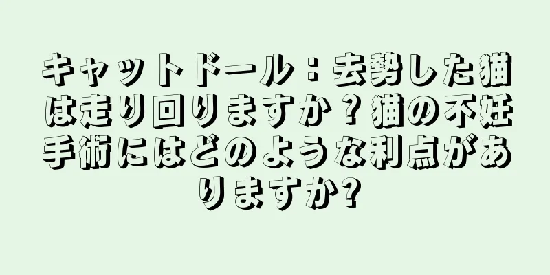 キャットドール：去勢した猫は走り回りますか？猫の不妊手術にはどのような利点がありますか?