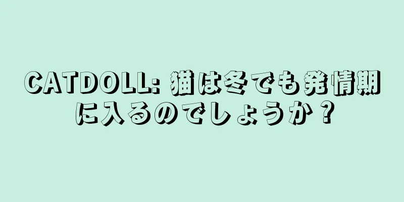 CATDOLL: 猫は冬でも発情期に入るのでしょうか？