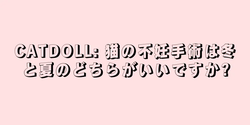 CATDOLL: 猫の不妊手術は冬と夏のどちらがいいですか?