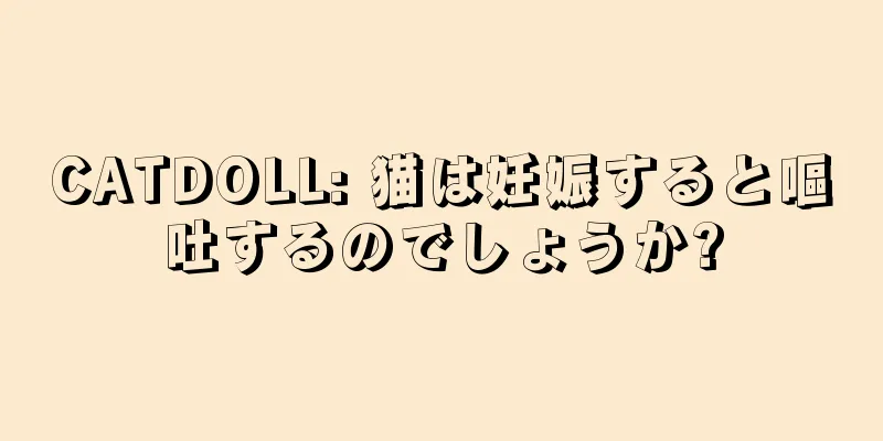 CATDOLL: 猫は妊娠すると嘔吐するのでしょうか?