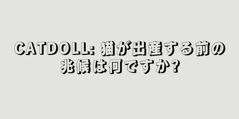 CATDOLL: 猫が出産する前の兆候は何ですか?