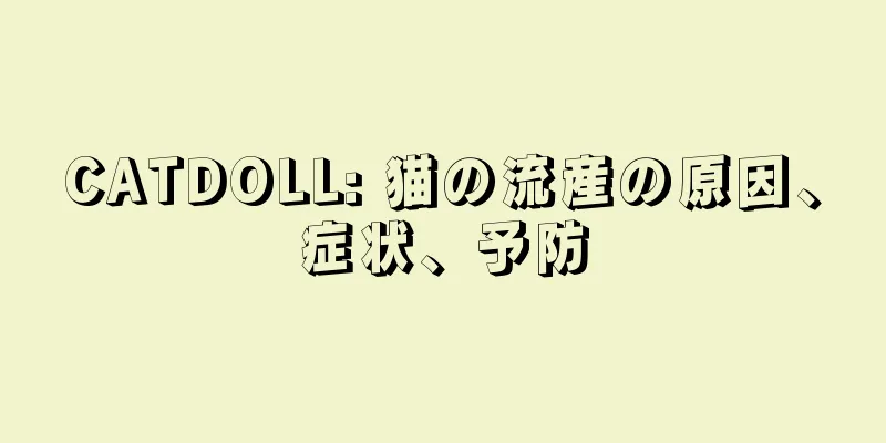 CATDOLL: 猫の流産の原因、症状、予防
