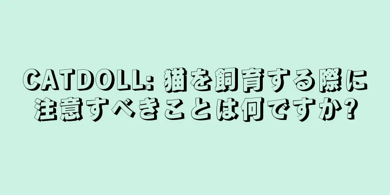CATDOLL: 猫を飼育する際に注意すべきことは何ですか?