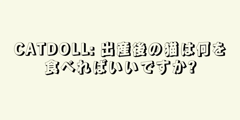 CATDOLL: 出産後の猫は何を食べればいいですか?