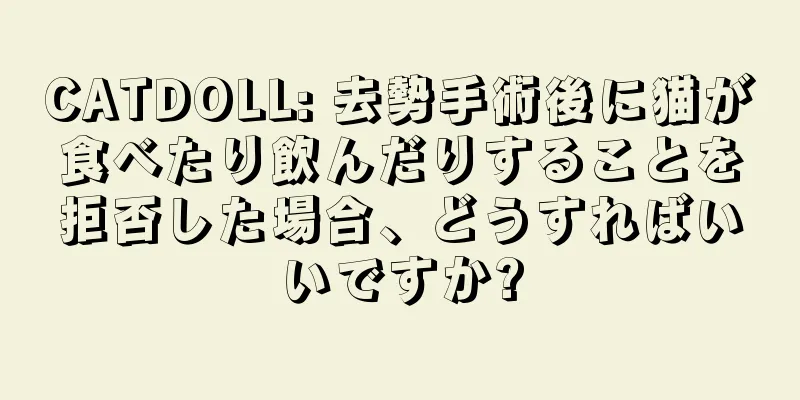 CATDOLL: 去勢手術後に猫が食べたり飲んだりすることを拒否した場合、どうすればいいですか?