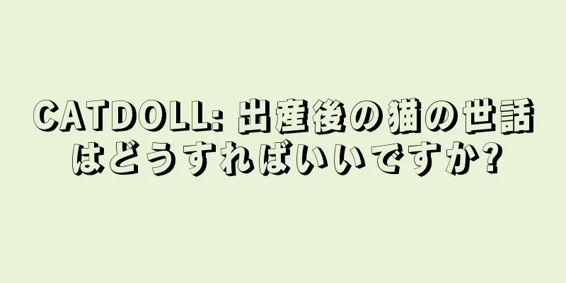 CATDOLL: 出産後の猫の世話はどうすればいいですか?