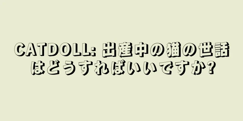 CATDOLL: 出産中の猫の世話はどうすればいいですか?