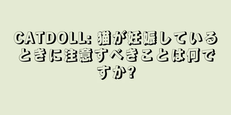 CATDOLL: 猫が妊娠しているときに注意すべきことは何ですか?