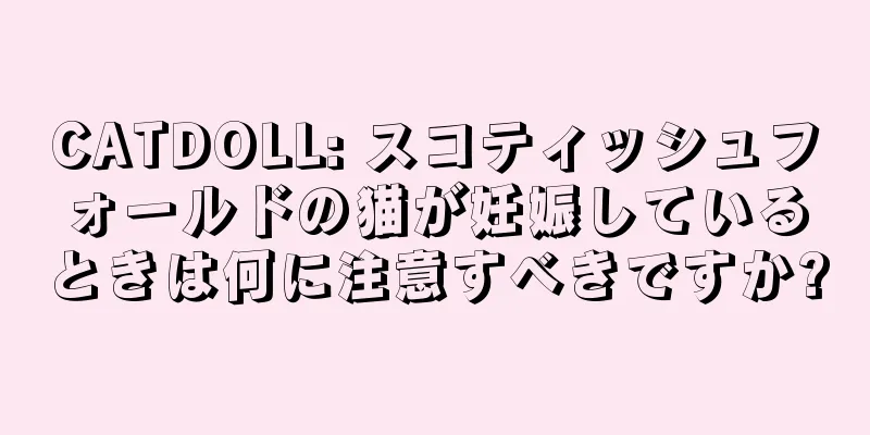 CATDOLL: スコティッシュフォールドの猫が妊娠しているときは何に注意すべきですか?