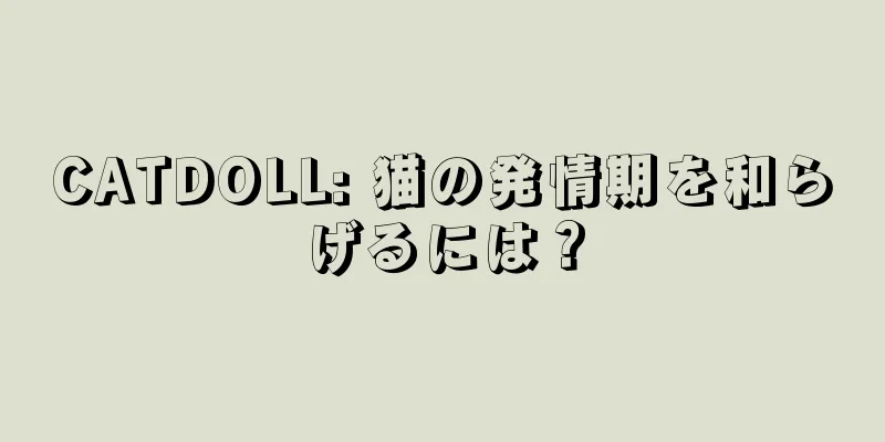CATDOLL: 猫の発情期を和らげるには？