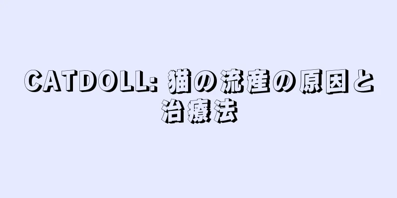 CATDOLL: 猫の流産の原因と治療法