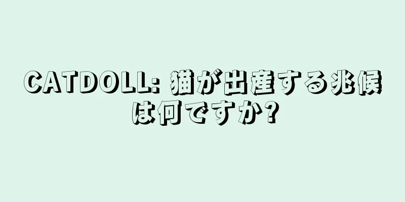 CATDOLL: 猫が出産する兆候は何ですか?