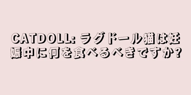 CATDOLL: ラグドール猫は妊娠中に何を食べるべきですか?