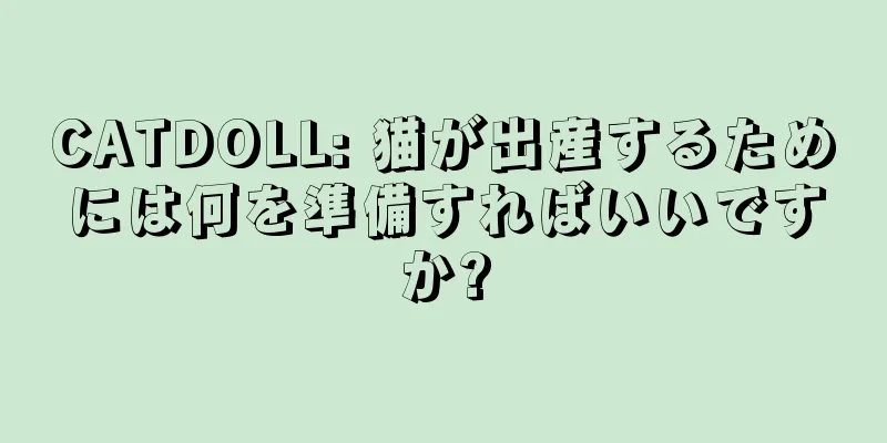 CATDOLL: 猫が出産するためには何を準備すればいいですか?