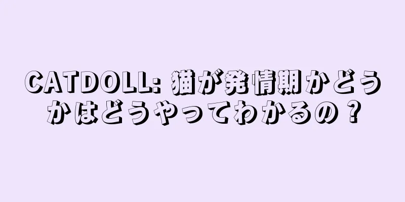 CATDOLL: 猫が発情期かどうかはどうやってわかるの？