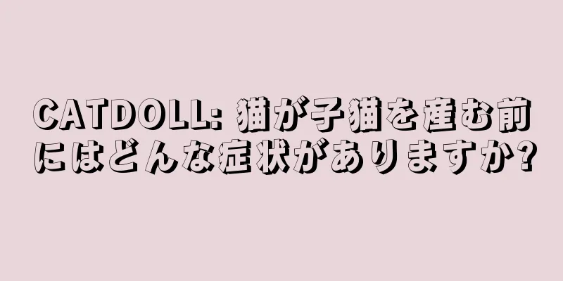 CATDOLL: 猫が子猫を産む前にはどんな症状がありますか?
