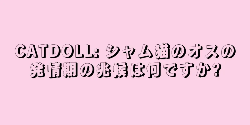 CATDOLL: シャム猫のオスの発情期の兆候は何ですか?