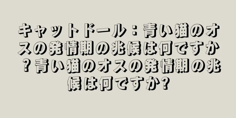 キャットドール：青い猫のオスの発情期の兆候は何ですか？青い猫のオスの発情期の兆候は何ですか?