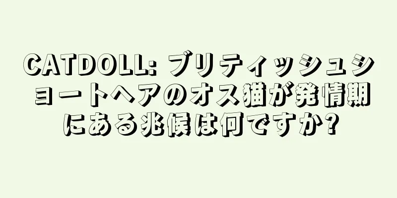 CATDOLL: ブリティッシュショートヘアのオス猫が発情期にある兆候は何ですか?