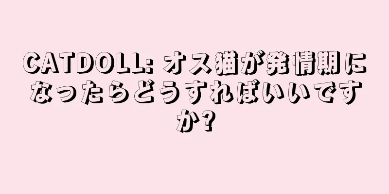 CATDOLL: オス猫が発情期になったらどうすればいいですか?