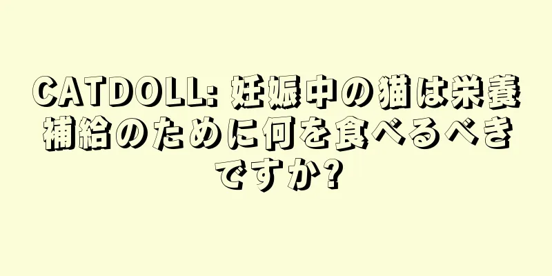 CATDOLL: 妊娠中の猫は栄養補給のために何を食べるべきですか?